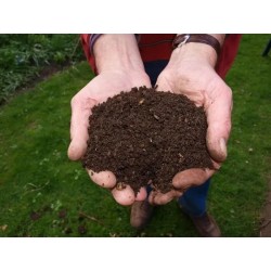 Compost vegetal
